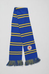 Blauer Schal mit gelben Streifen und einem Wappen in der Mitte, fransig an den Enden.