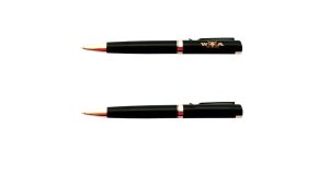 Schwarzer Kugelschreiber mit goldenen Akzenten, der auf einem weißen Hintergrund liegt.